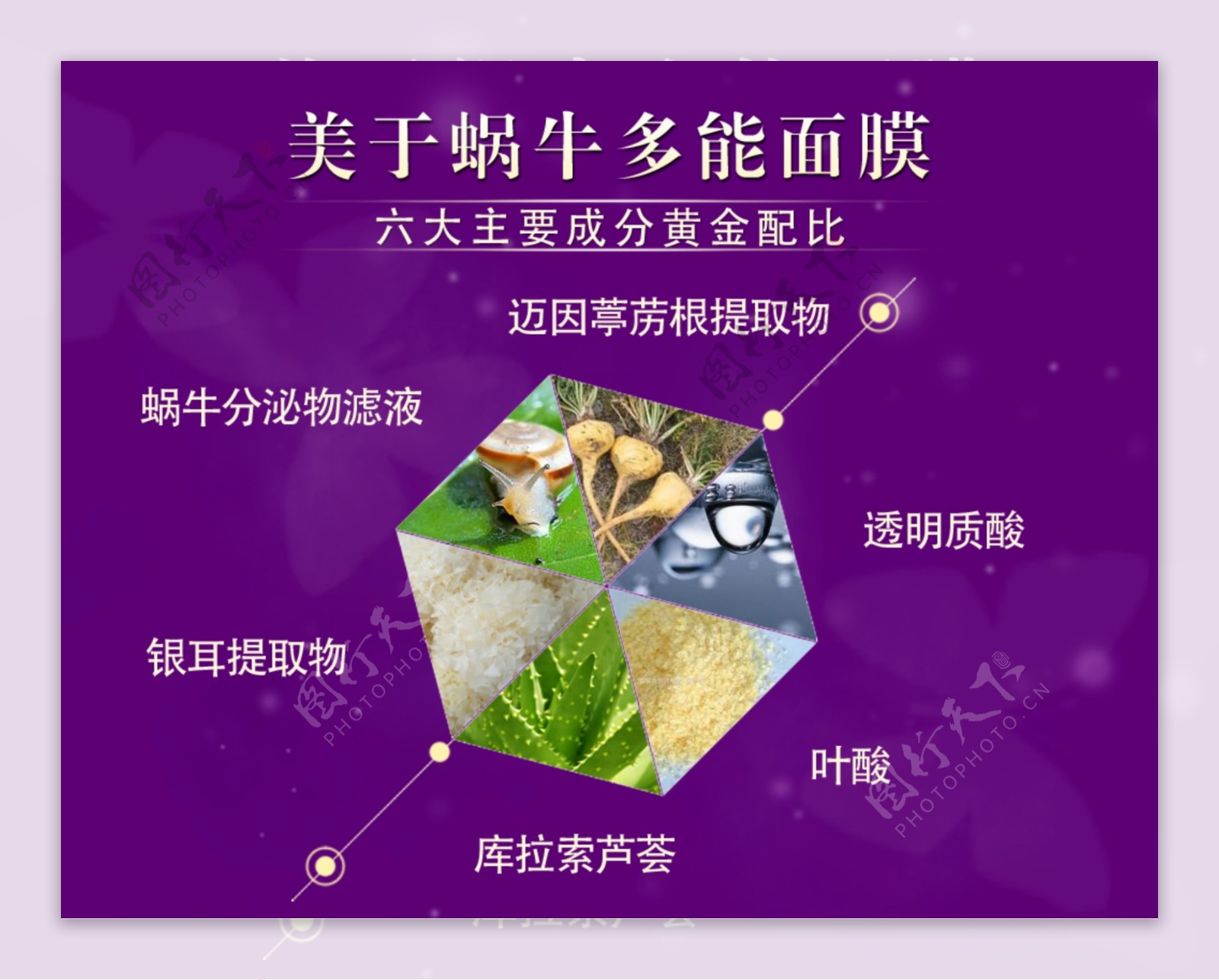 成分黄金配比图片