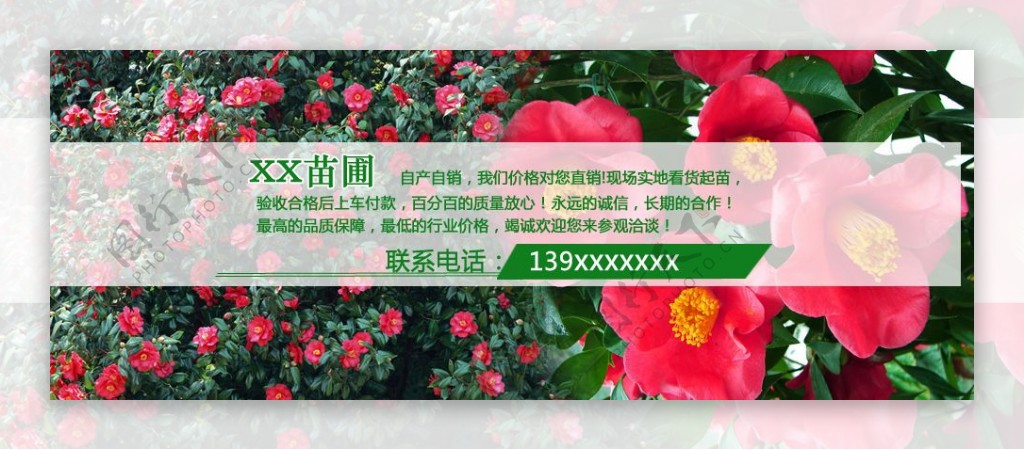 苗木网站banner图
