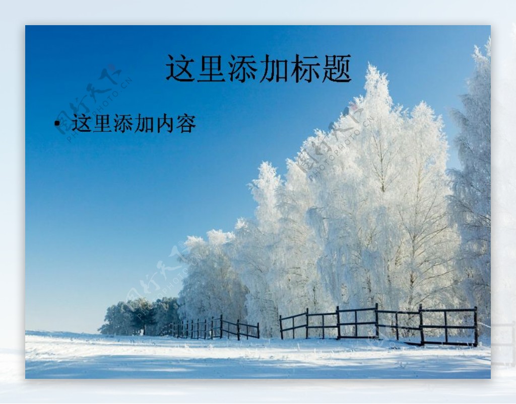 玉树琼枝的美丽雪景高清电脑PPT12