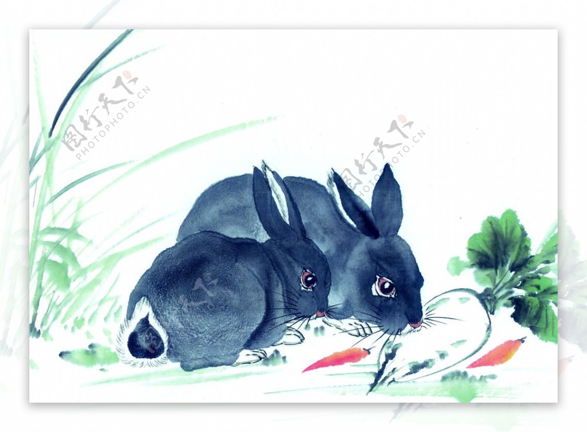 白兔吃萝卜
