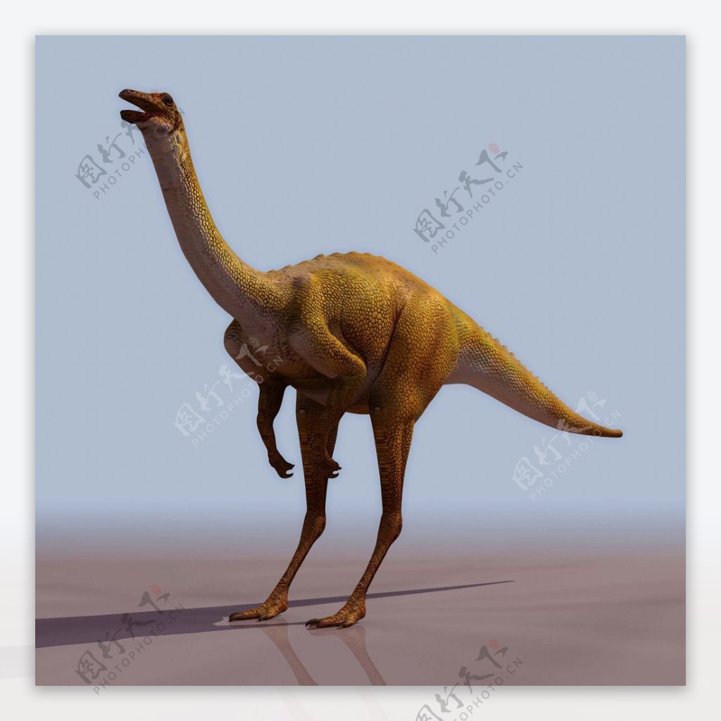 GALLIM恐龙3d模型图片