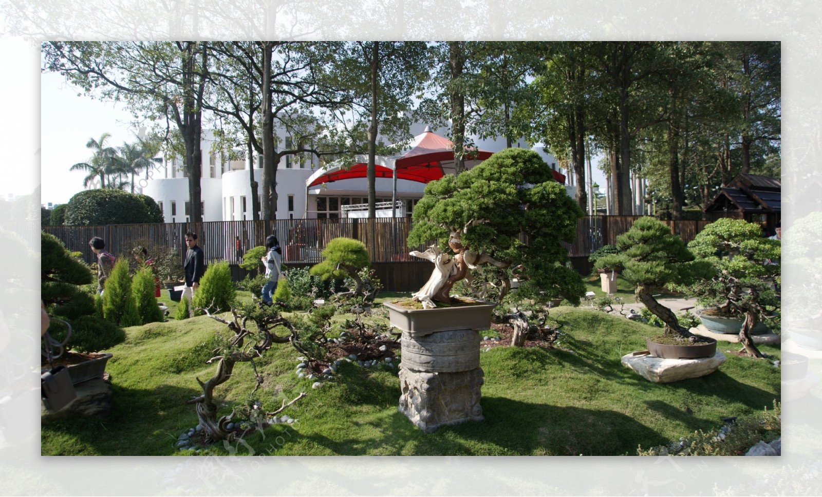 台北国际花园博览会图片