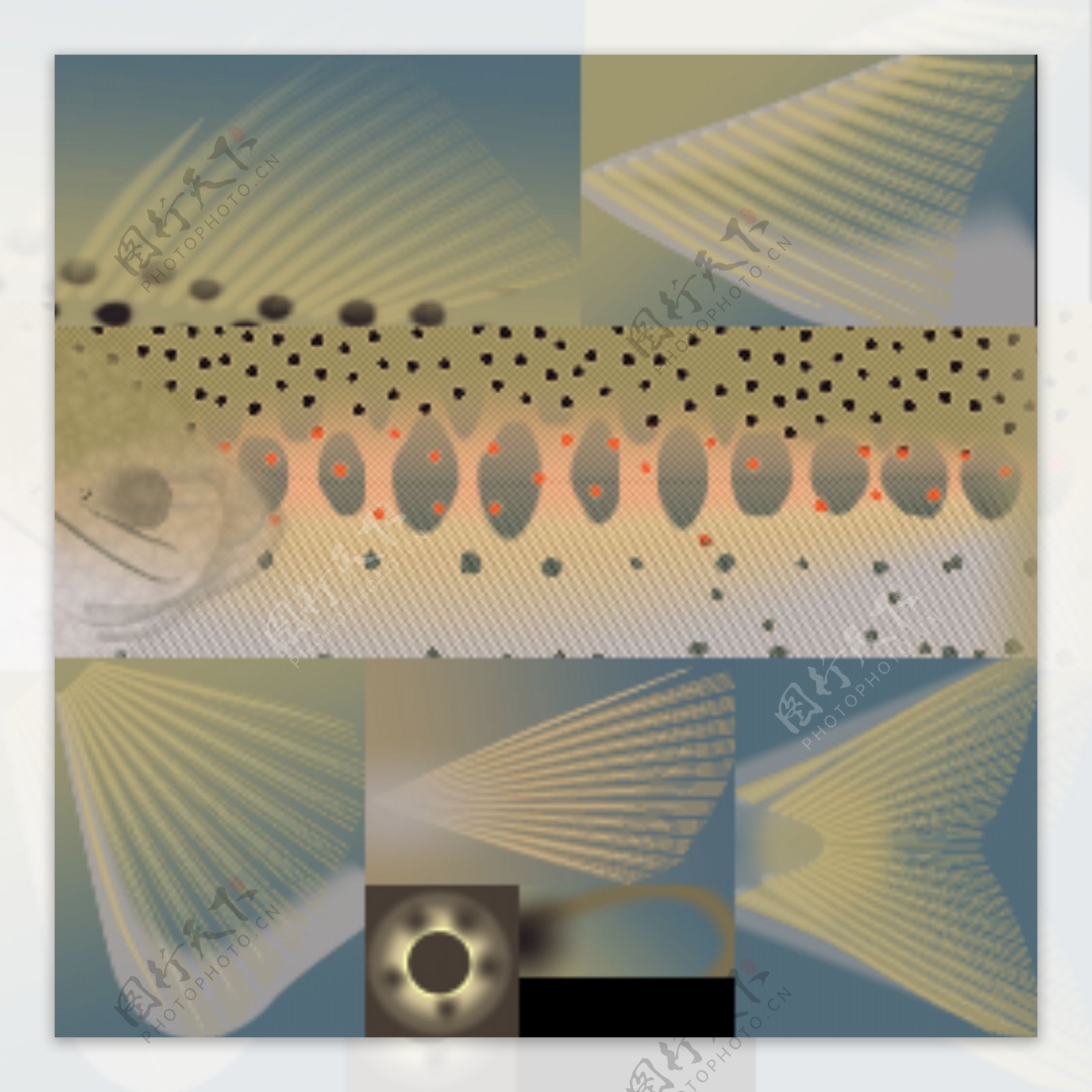 动物鱼类3d模型动植物模型免费下载动植物3d模型31