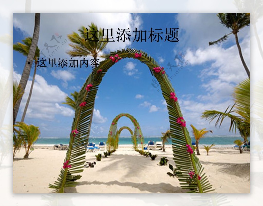 海边婚礼图片素材节庆图片