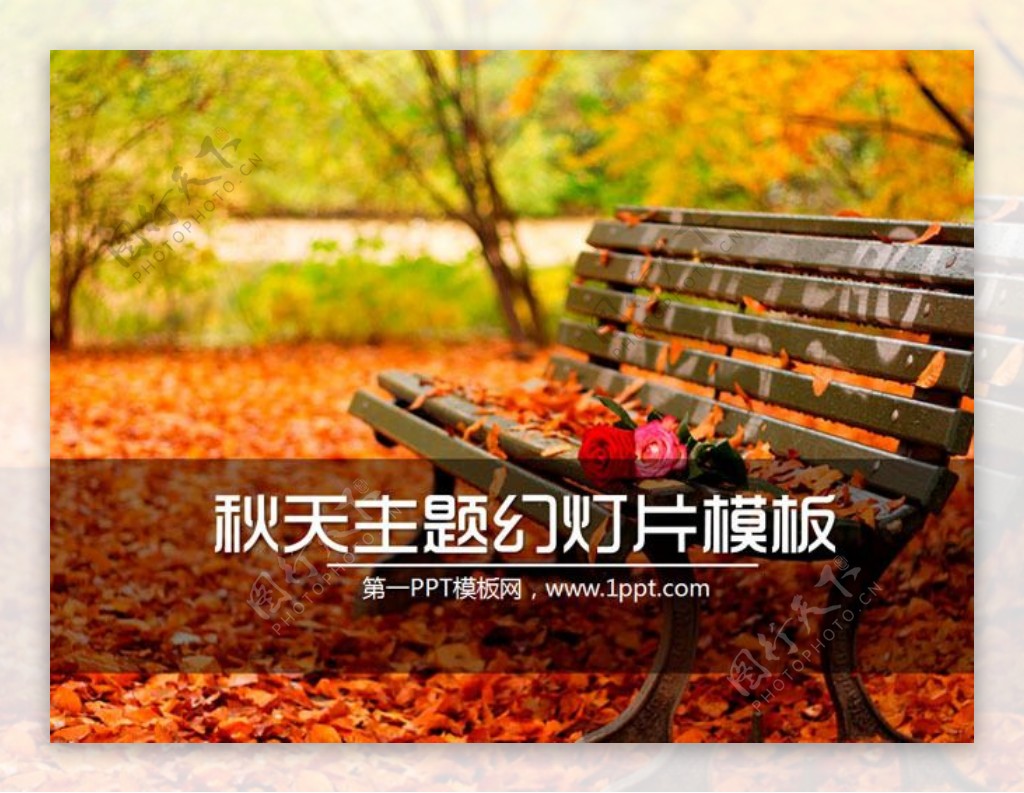 秋天落叶的长椅公园一角幻灯片模