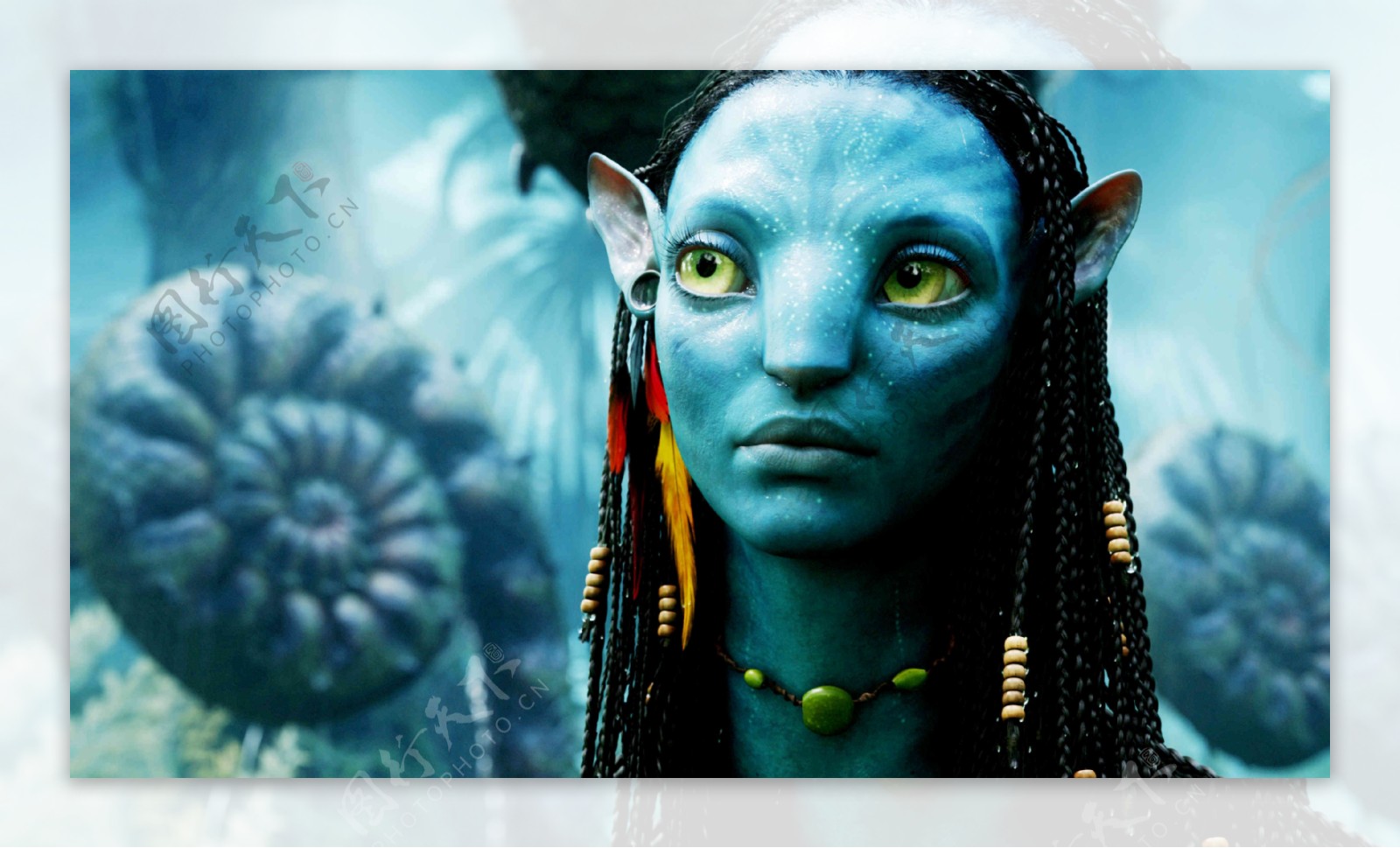 Avatar阿凡达科幻3D电影壁纸女主角