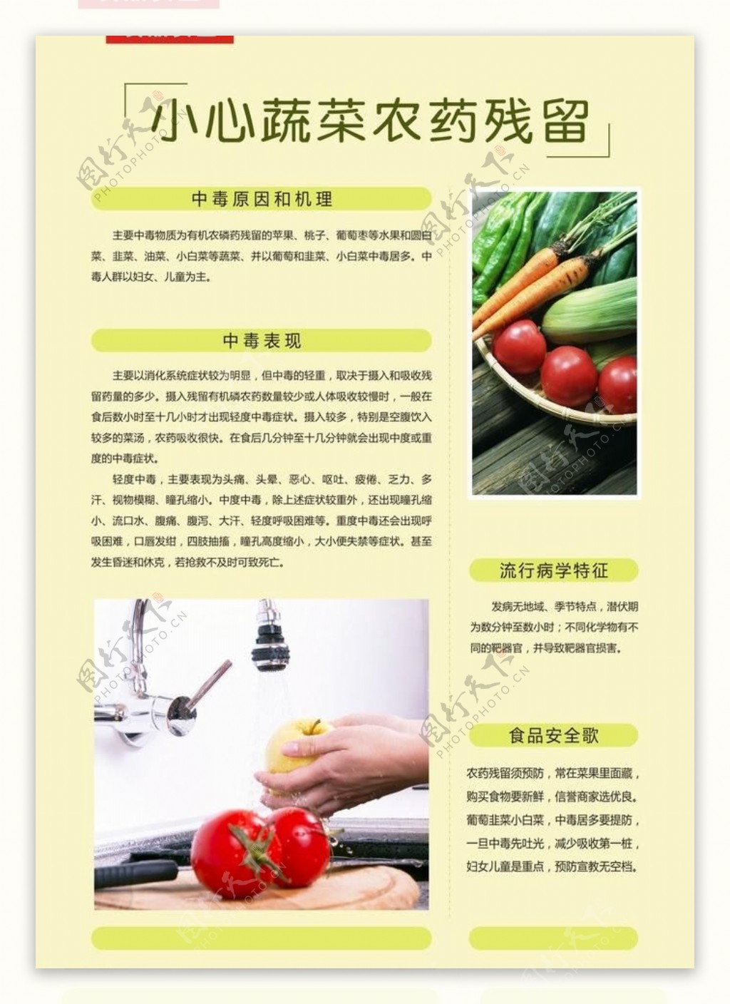 食品安全蔬菜农药残留图片