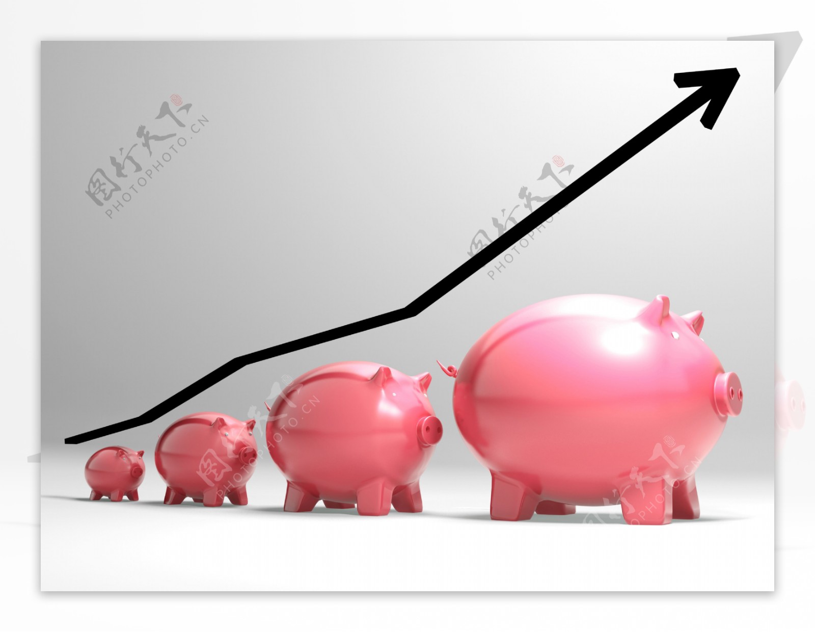 生长猪表现金融成长