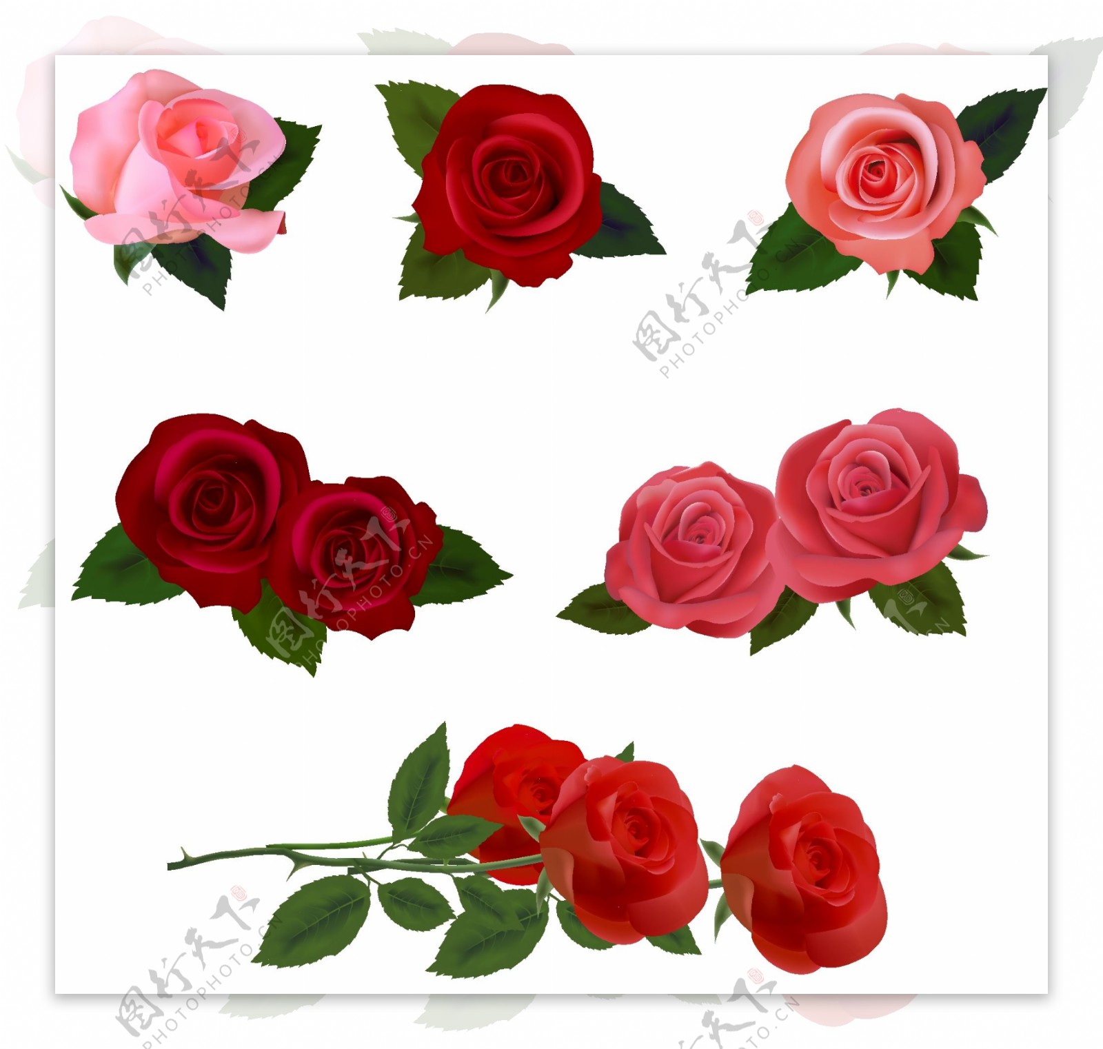 爱心玫瑰花矢量素材图片