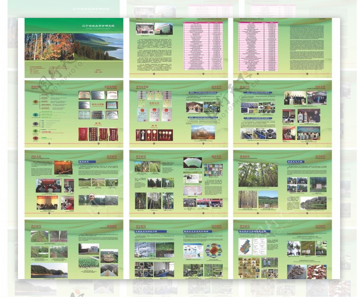 园林图册图片