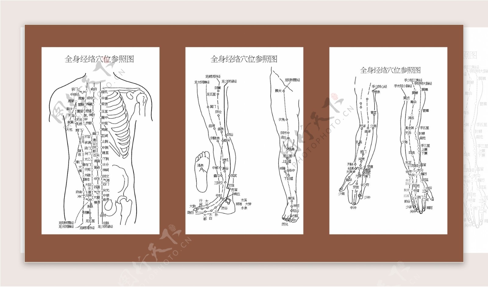 中医针灸全身穴位经络参照图