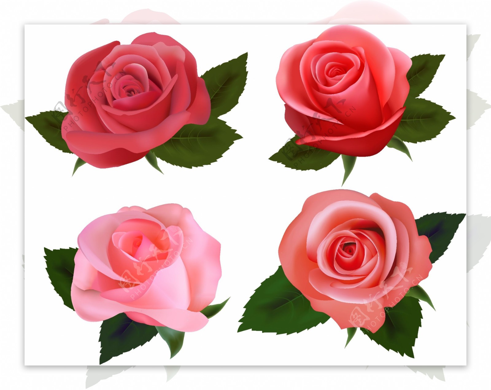 爱心玫瑰花模板下载图片
