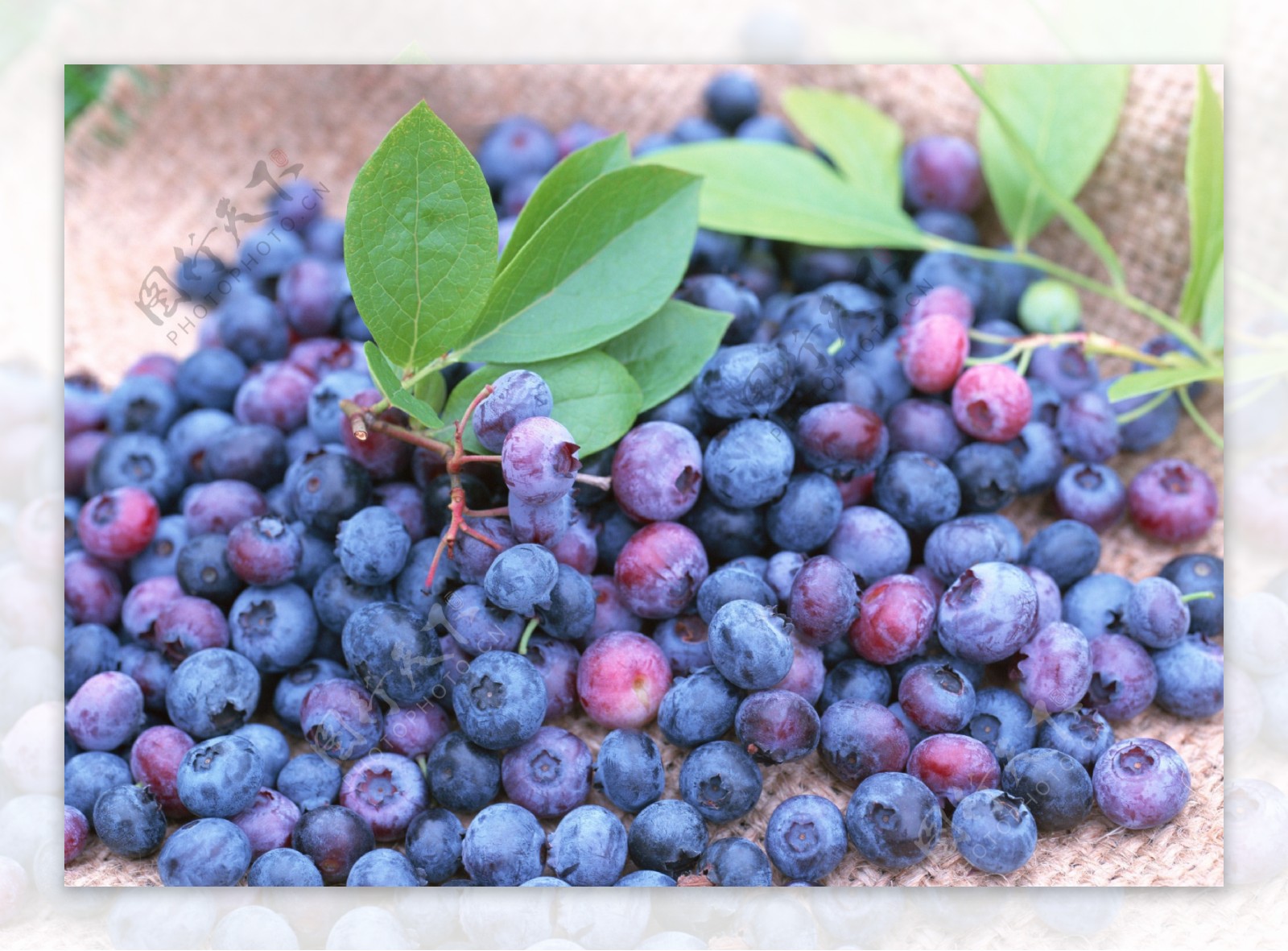 一堆刚摘下的蓝莓