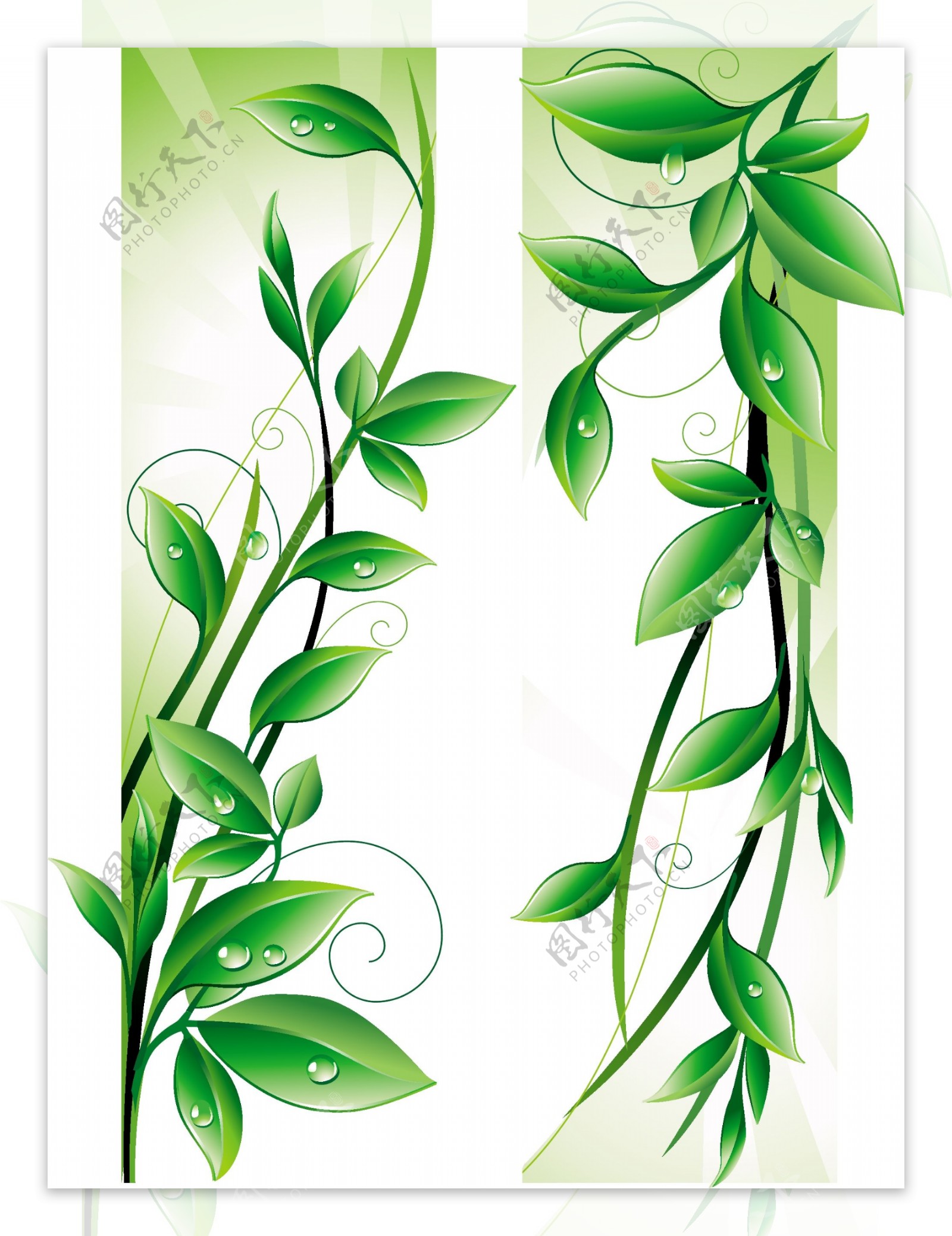 矢量素材绿色植物叶脉春天图片