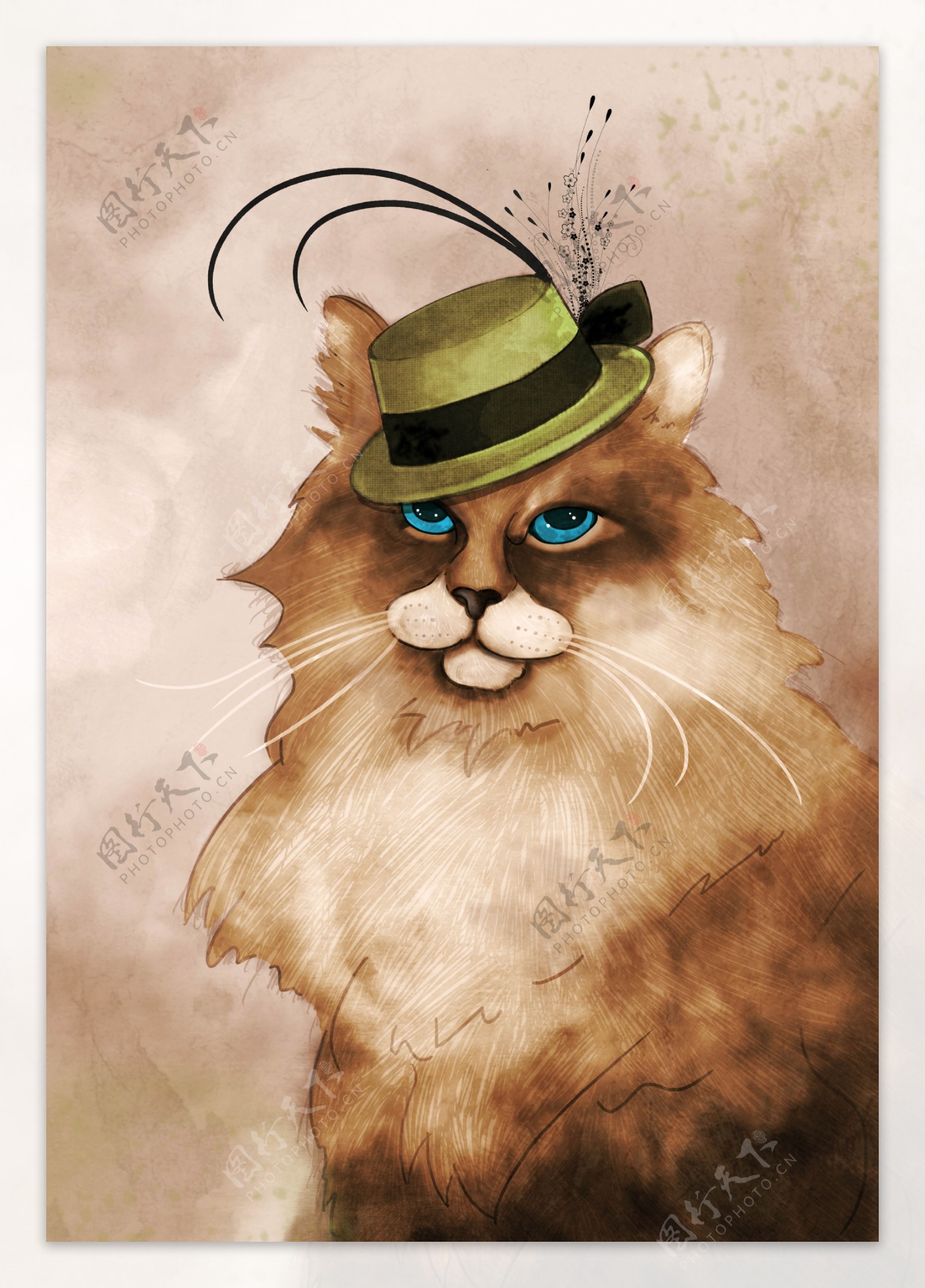 戴帽子的猫先生图片