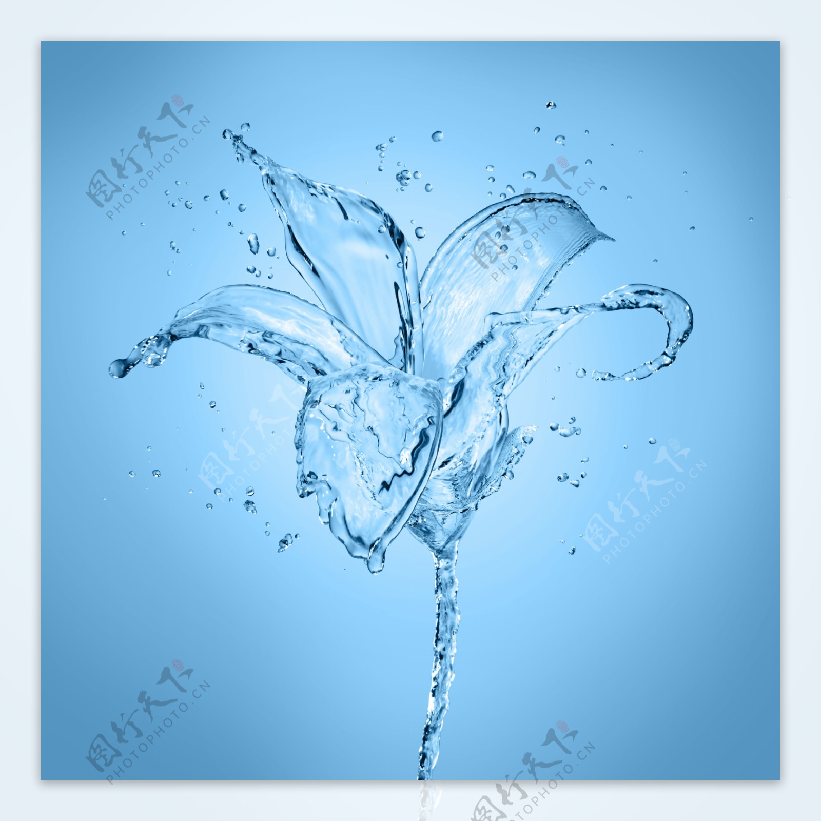 花造型的水