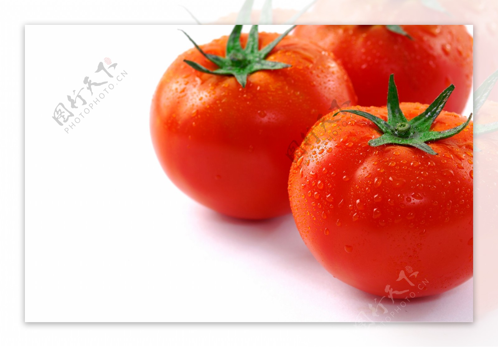 设计素材湿漉漉的番茄
