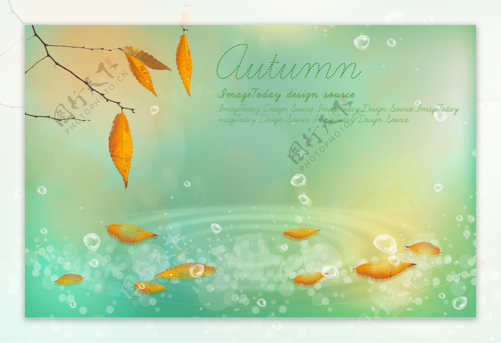 秋天色彩枝叶水珠水纹水中落叶精美艺术相框模版