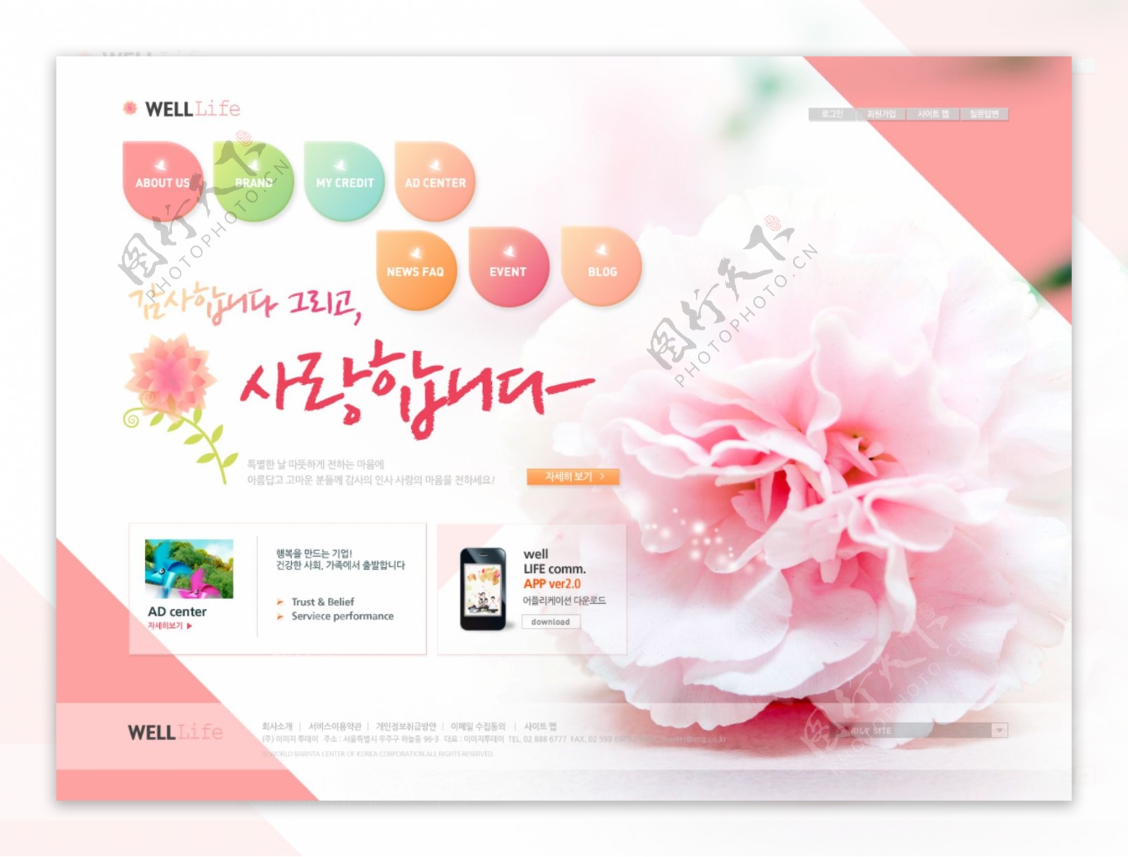 韩国花店主页设计