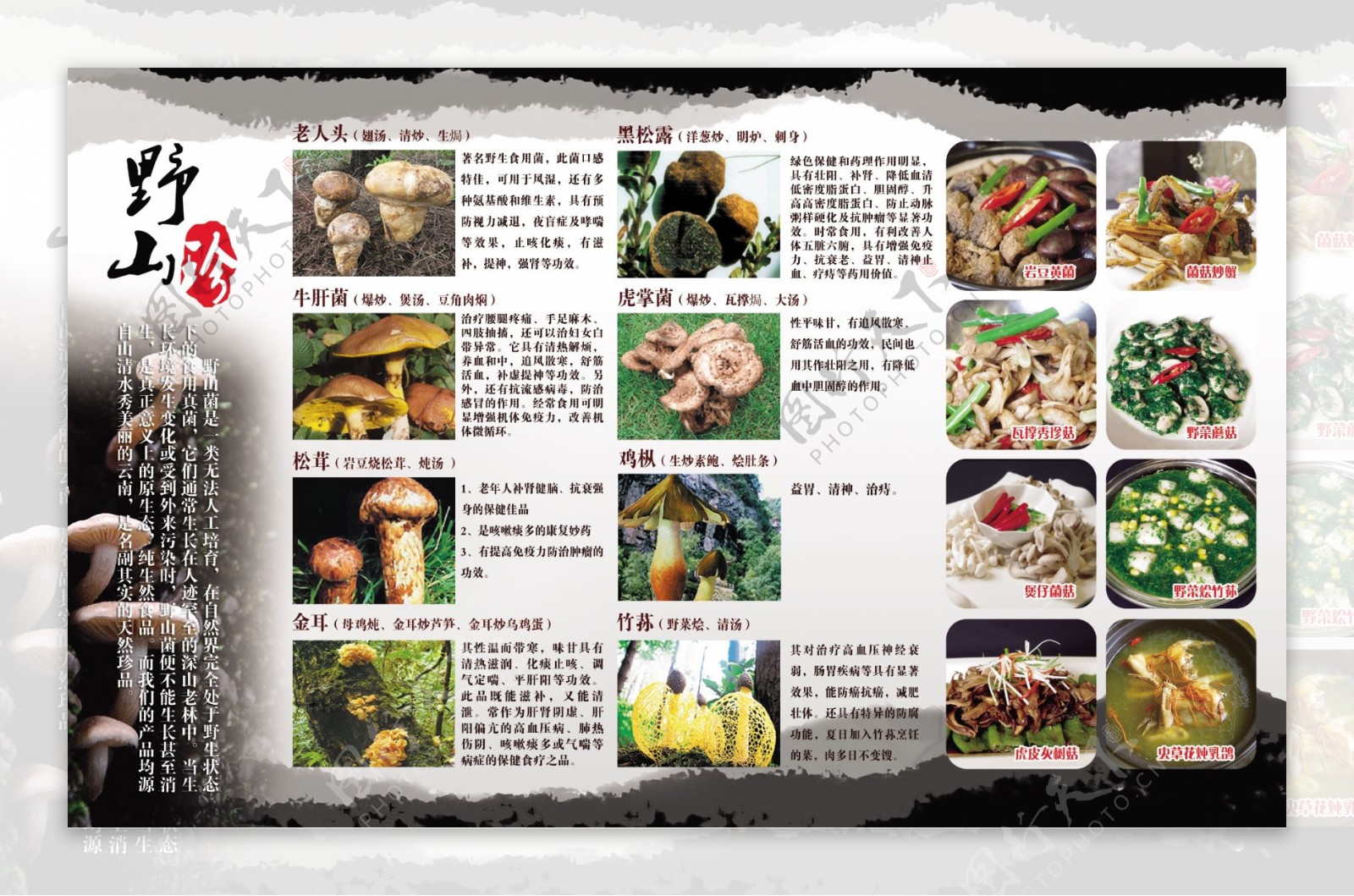野山菌菜谱图片