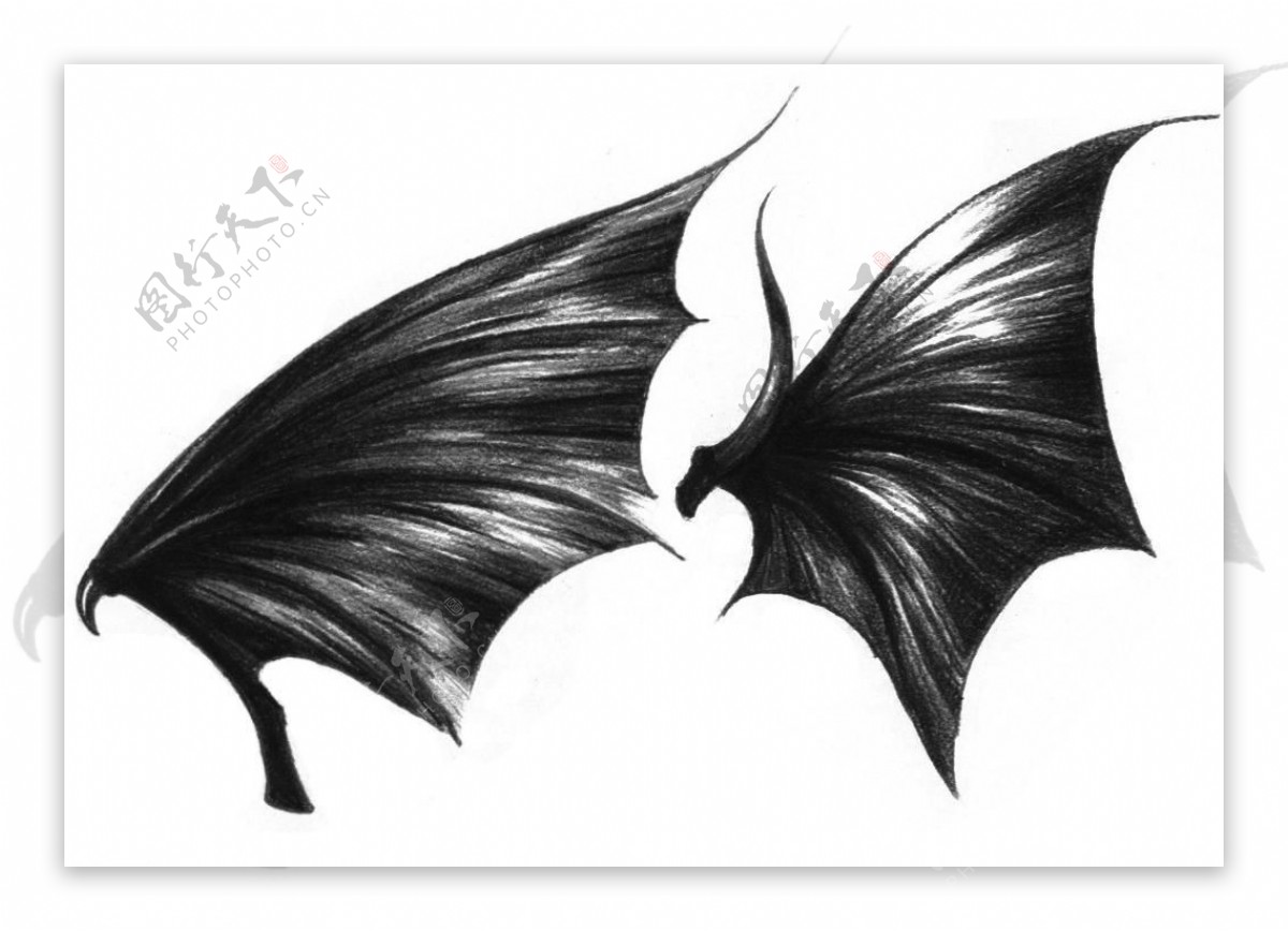 蝙蝠翅膀笔刷图片