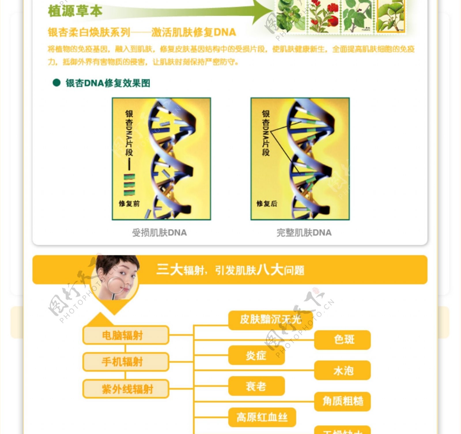 化妆品图片