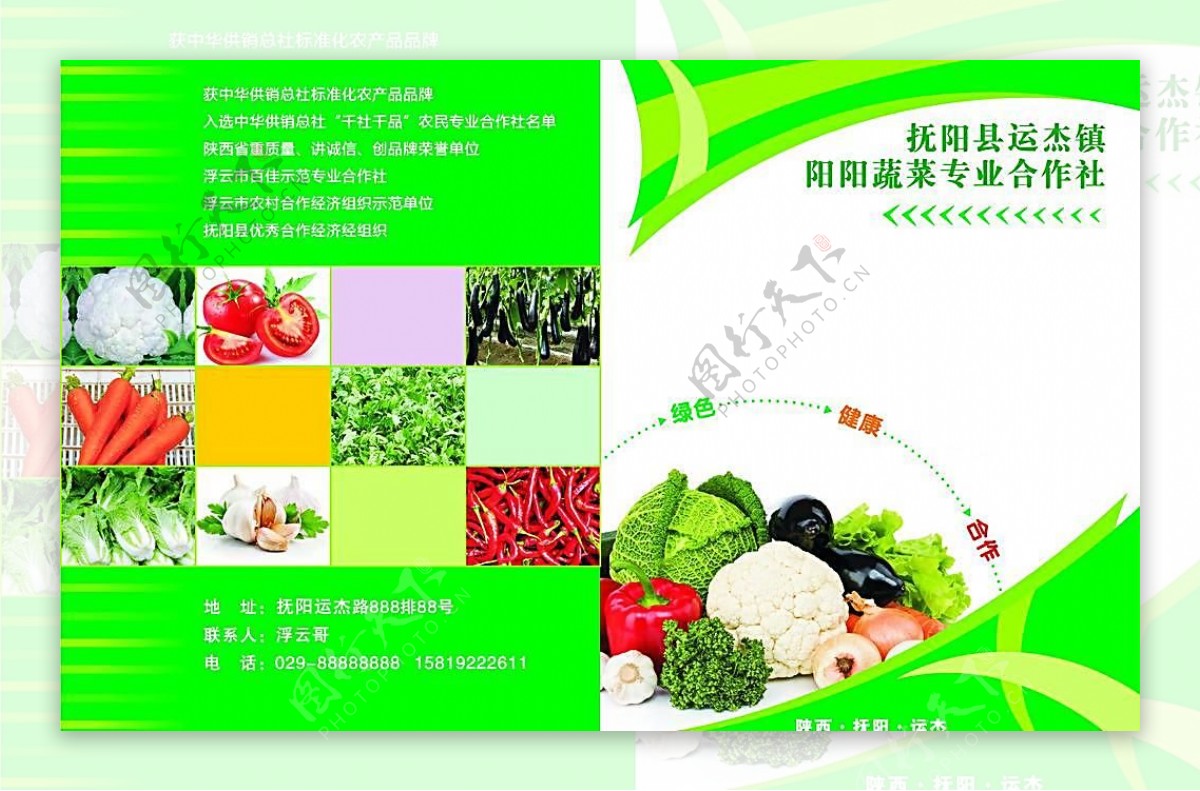 阳阳蔬菜专业合作社彩页DM单图片