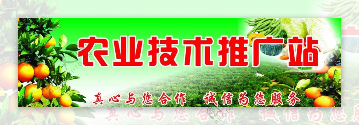 农业技术推广站图片