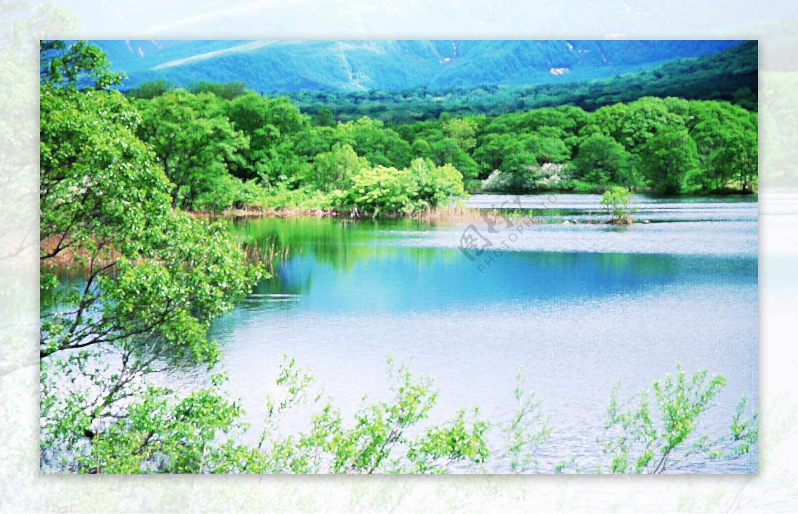 位图植物树海水山水画免费素材