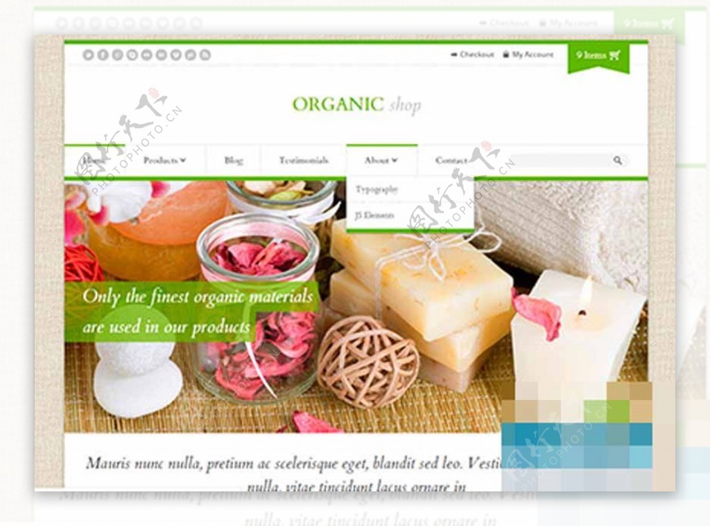 绿色亚麻背景spa美容休闲企业网站模板