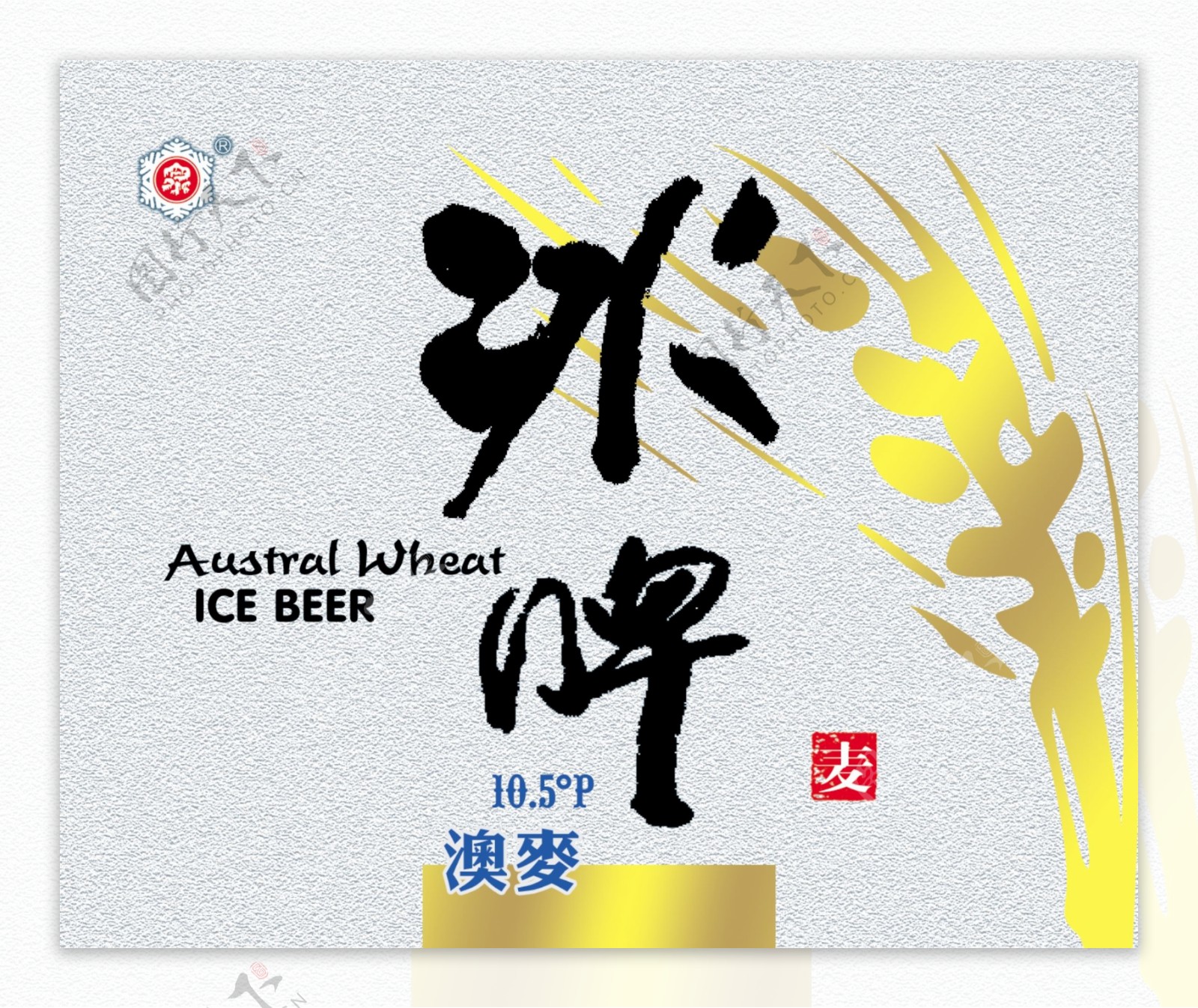 澳麦冰啤包装设计师DVD01