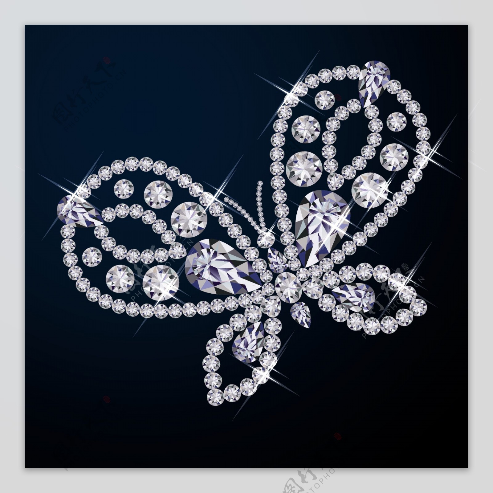 钻石蝴蝶图片