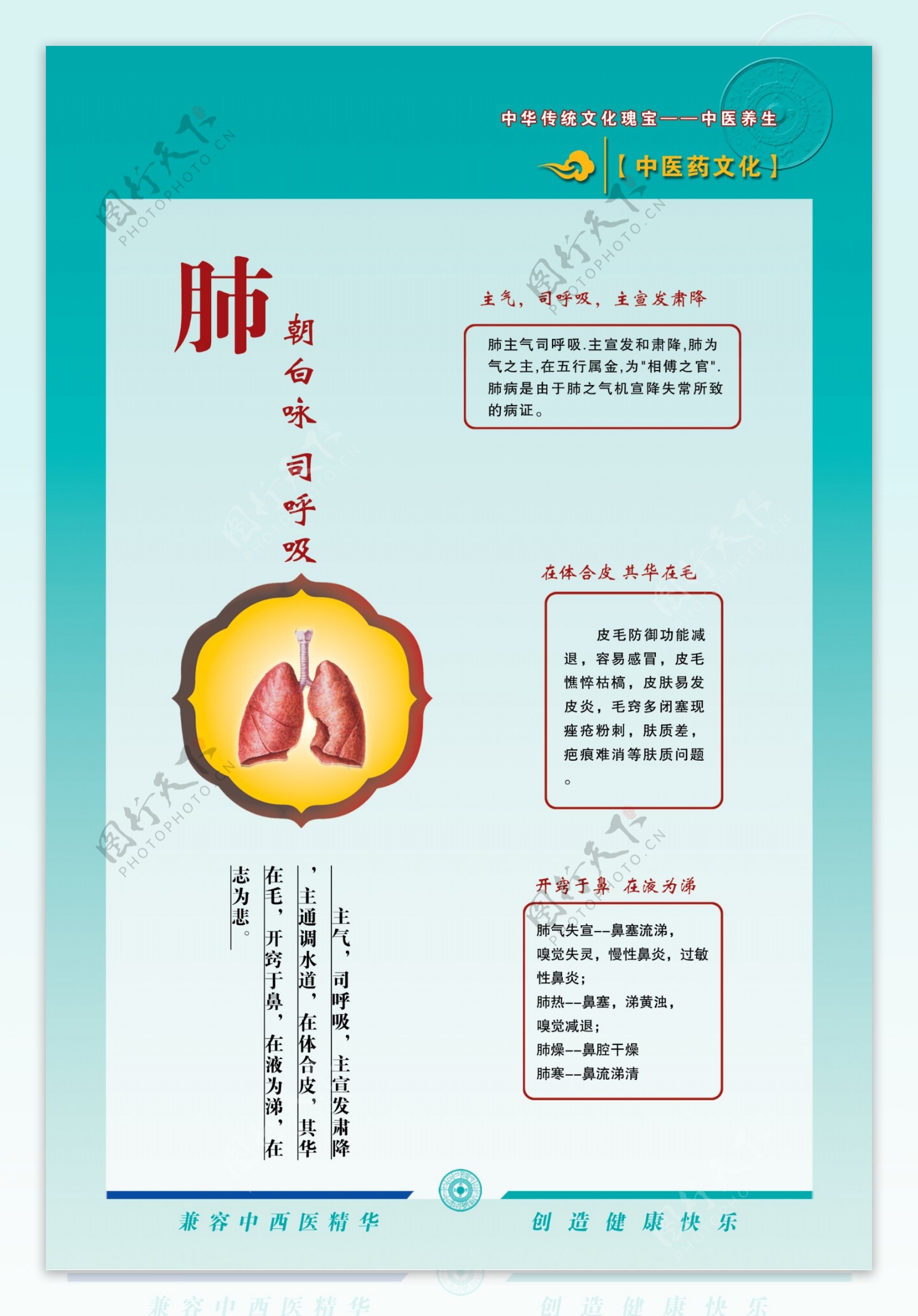 肺功能图片