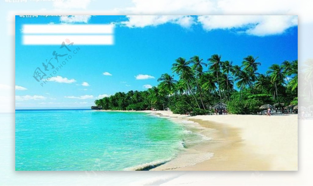 夏日海滩椰树图片