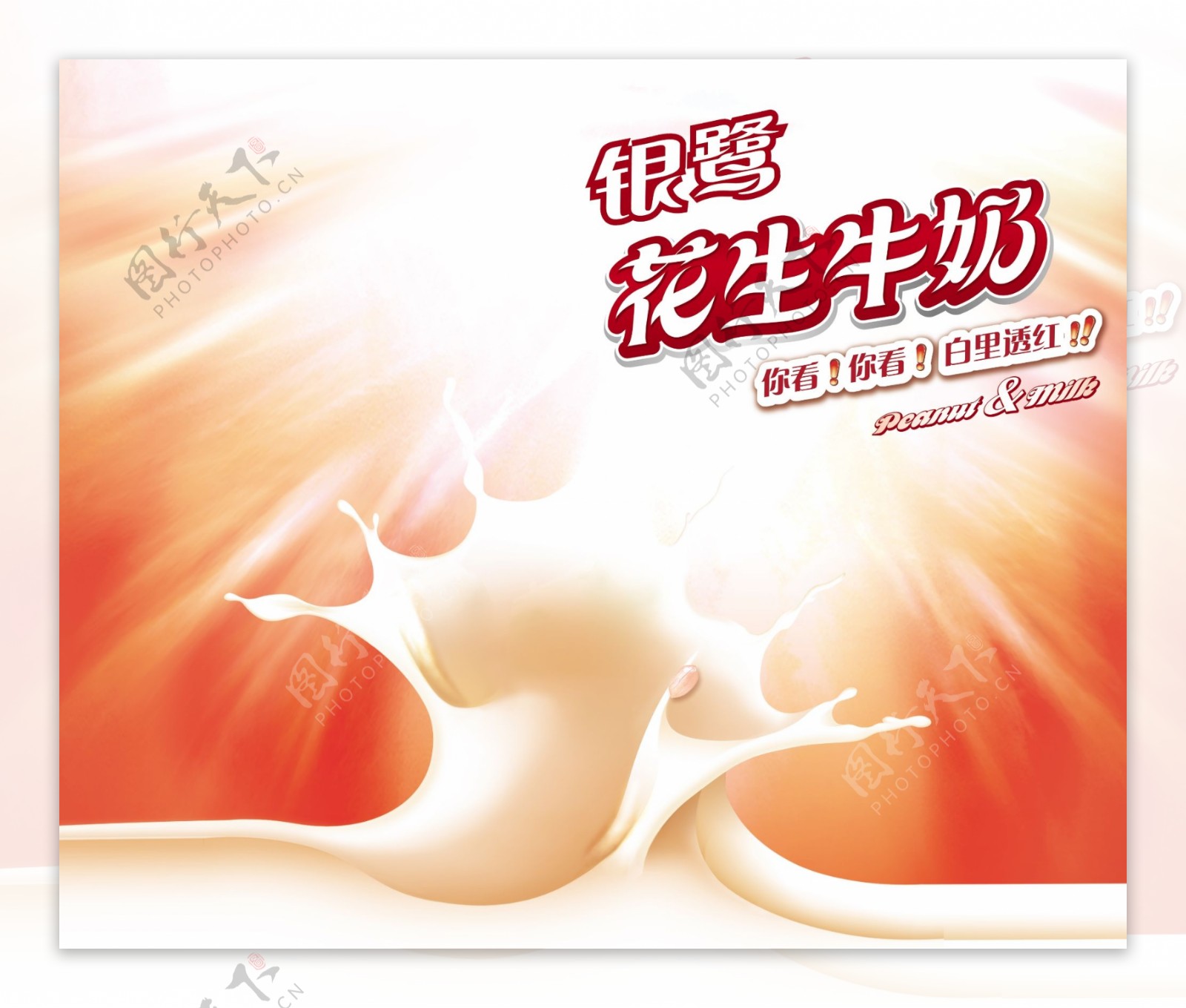 银鹭花生牛奶广告图片