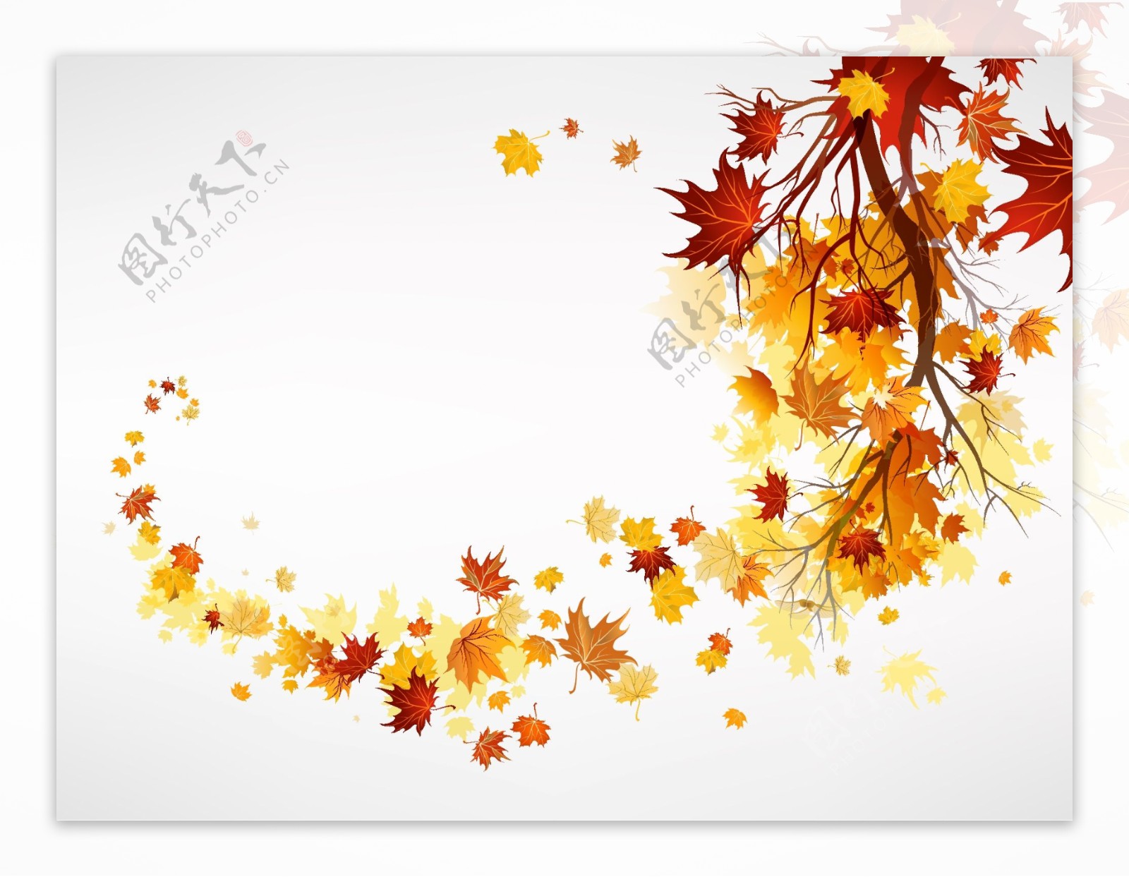 秋天树木背景图片