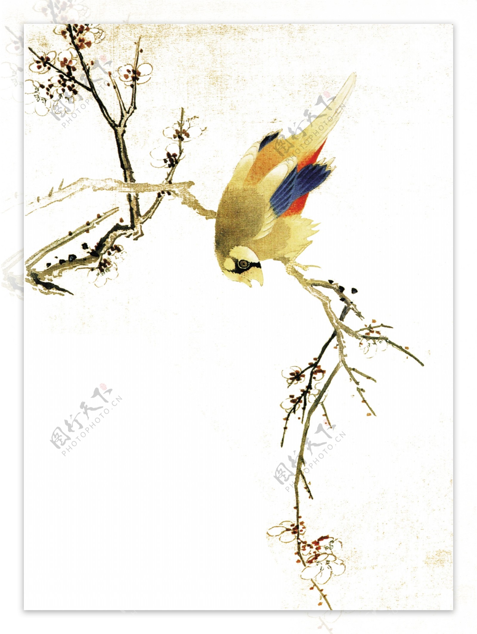 梅花中国风水墨图片