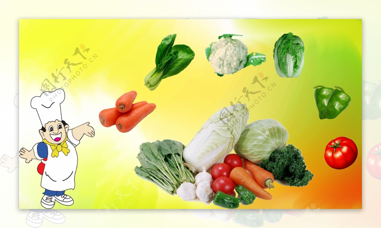蔬菜全集图片