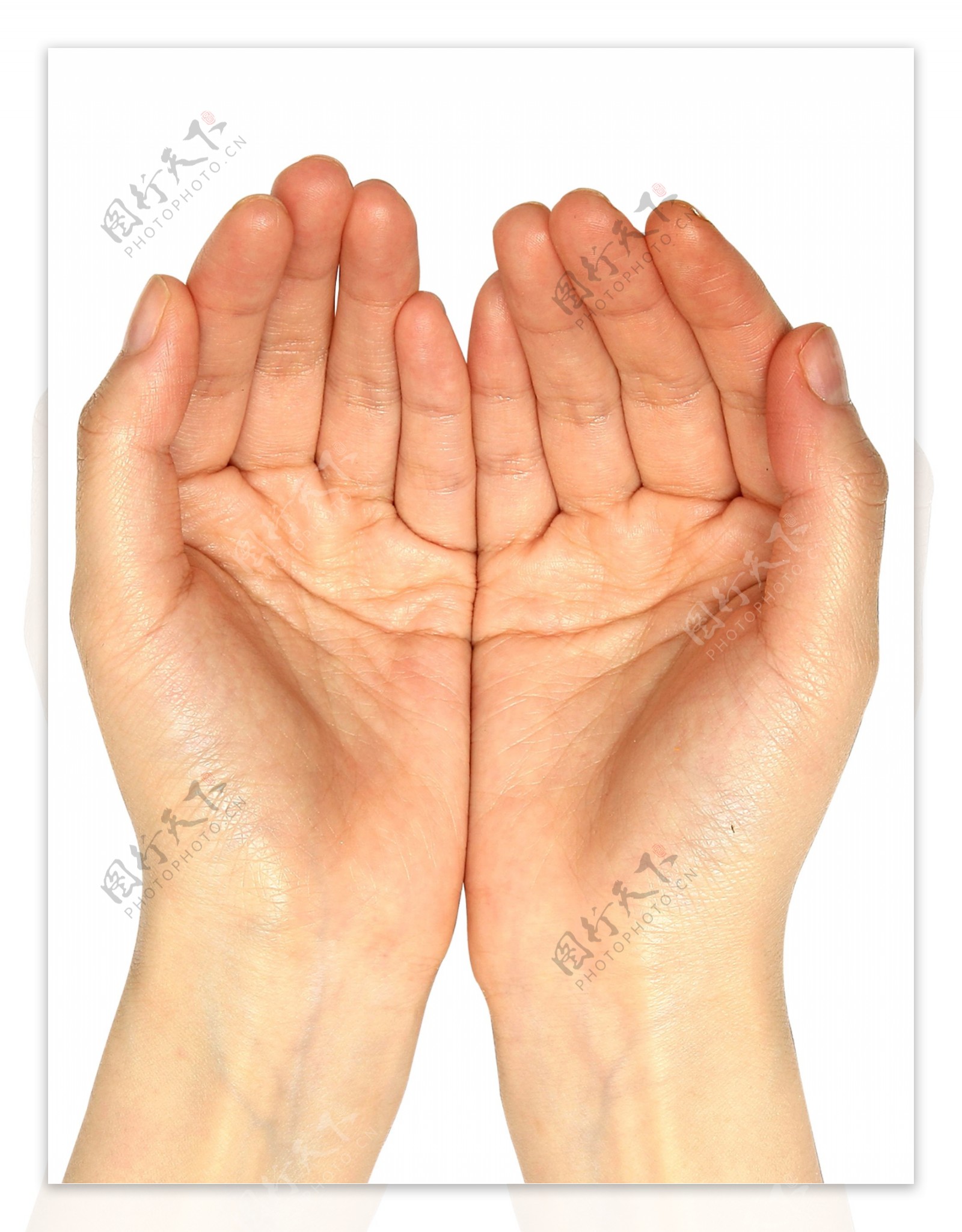 双手手势PSD素材3