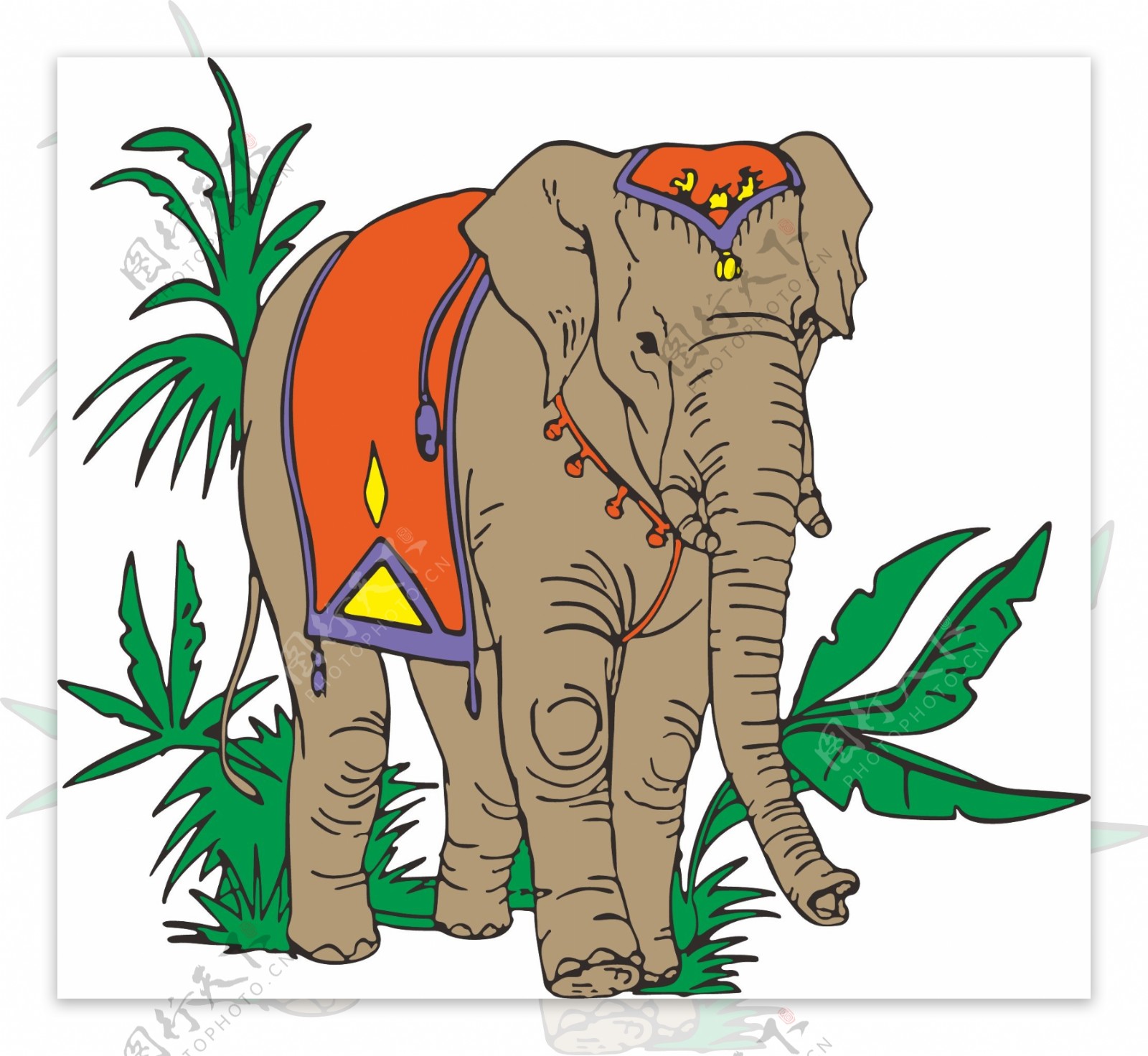 椰子树大象图片