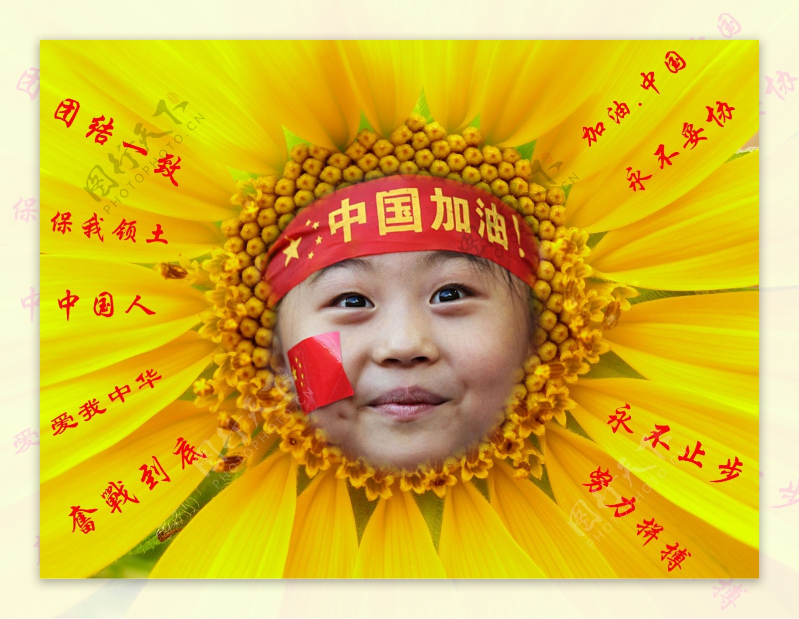 中国加油葵花图片