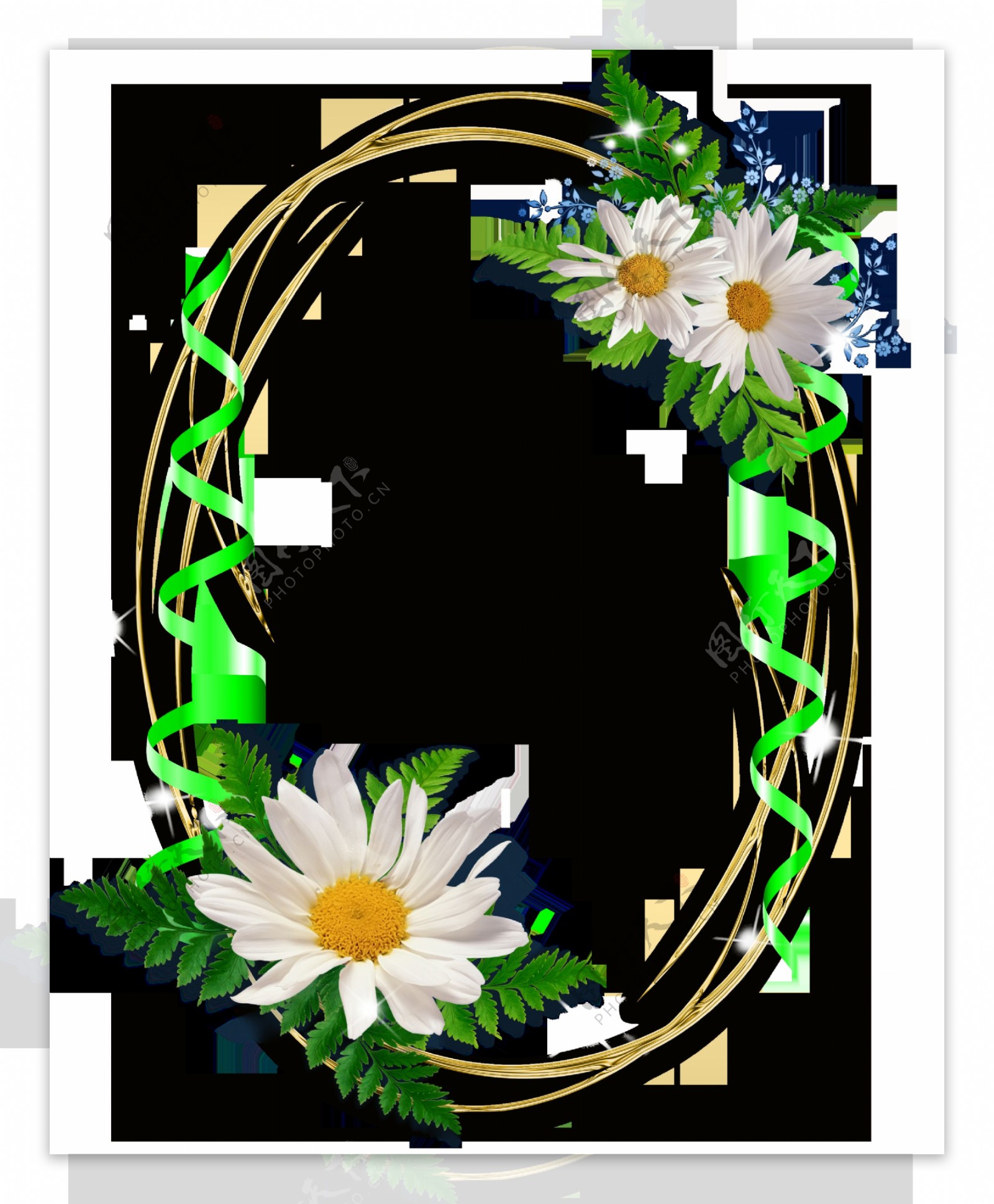 太阳菊相册边框图片