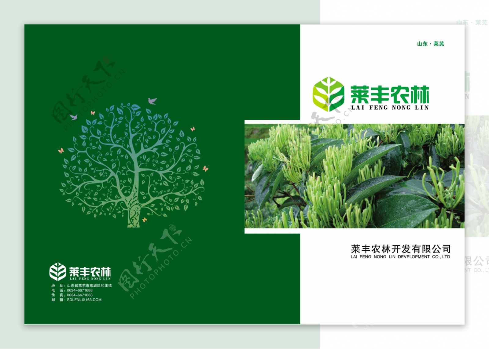 农业蔬菜水果招商手册宣传册图片