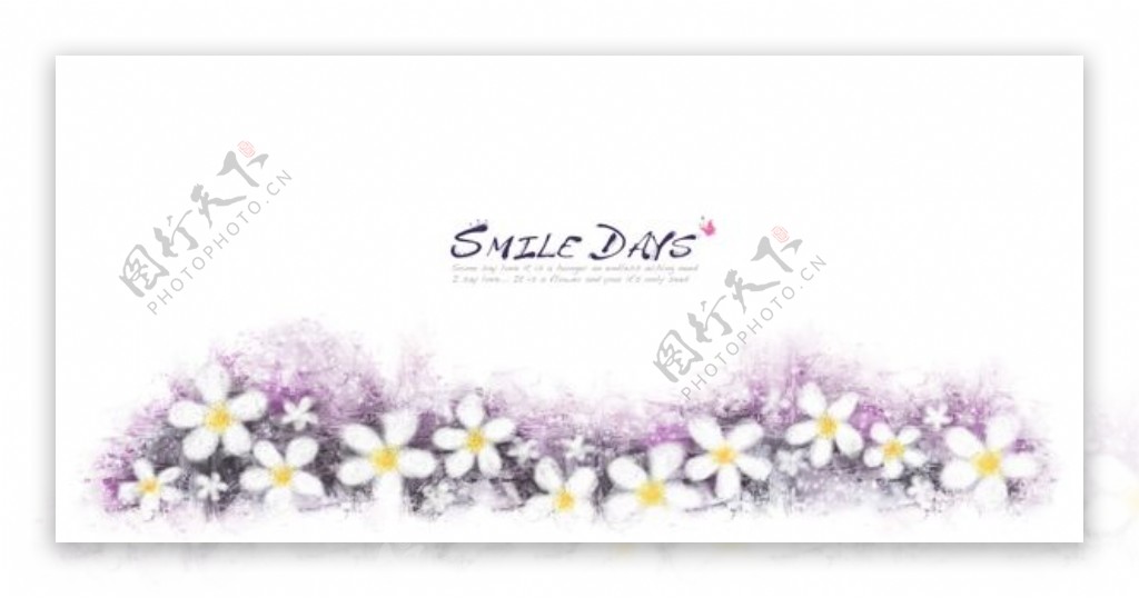 白花与紫色背景PSD素材