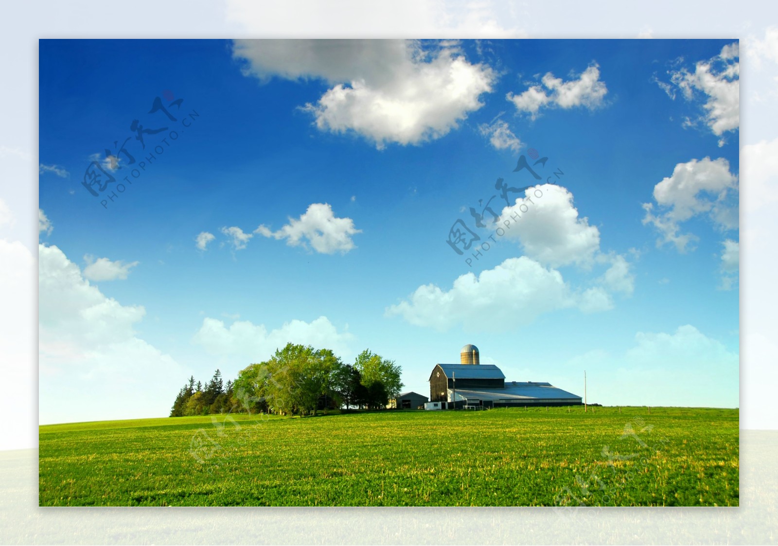 草地大树房子蓝天白云高清图片
