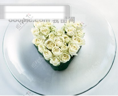 花的艺术心型花艺浪漫的心鲜花特写白色玫瑰苞
