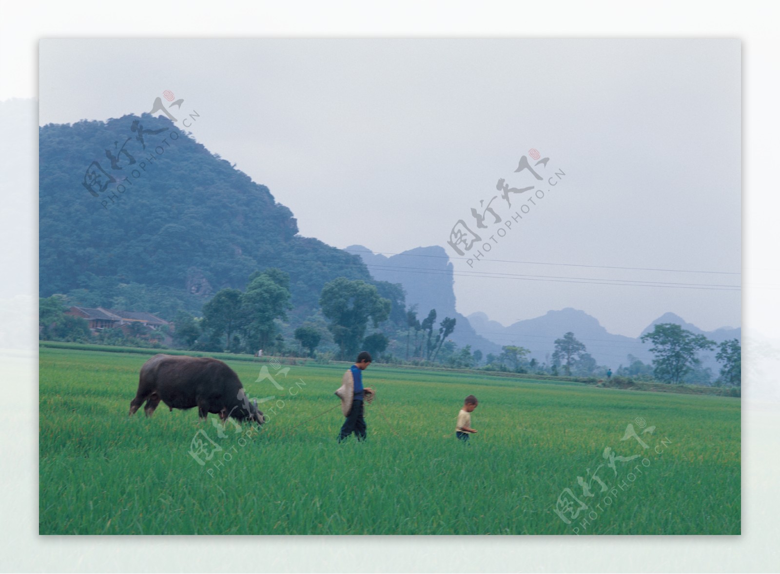 农场牧场房屋草地大自然环境风光风景家畜广告素材大辞典