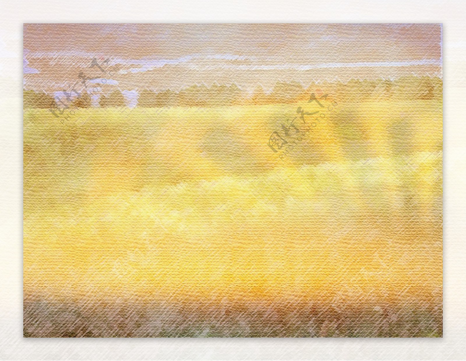 梦幻黄色草地背景