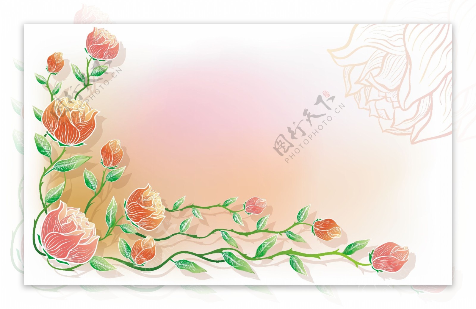 鲜花的手绘背景矢量图形3