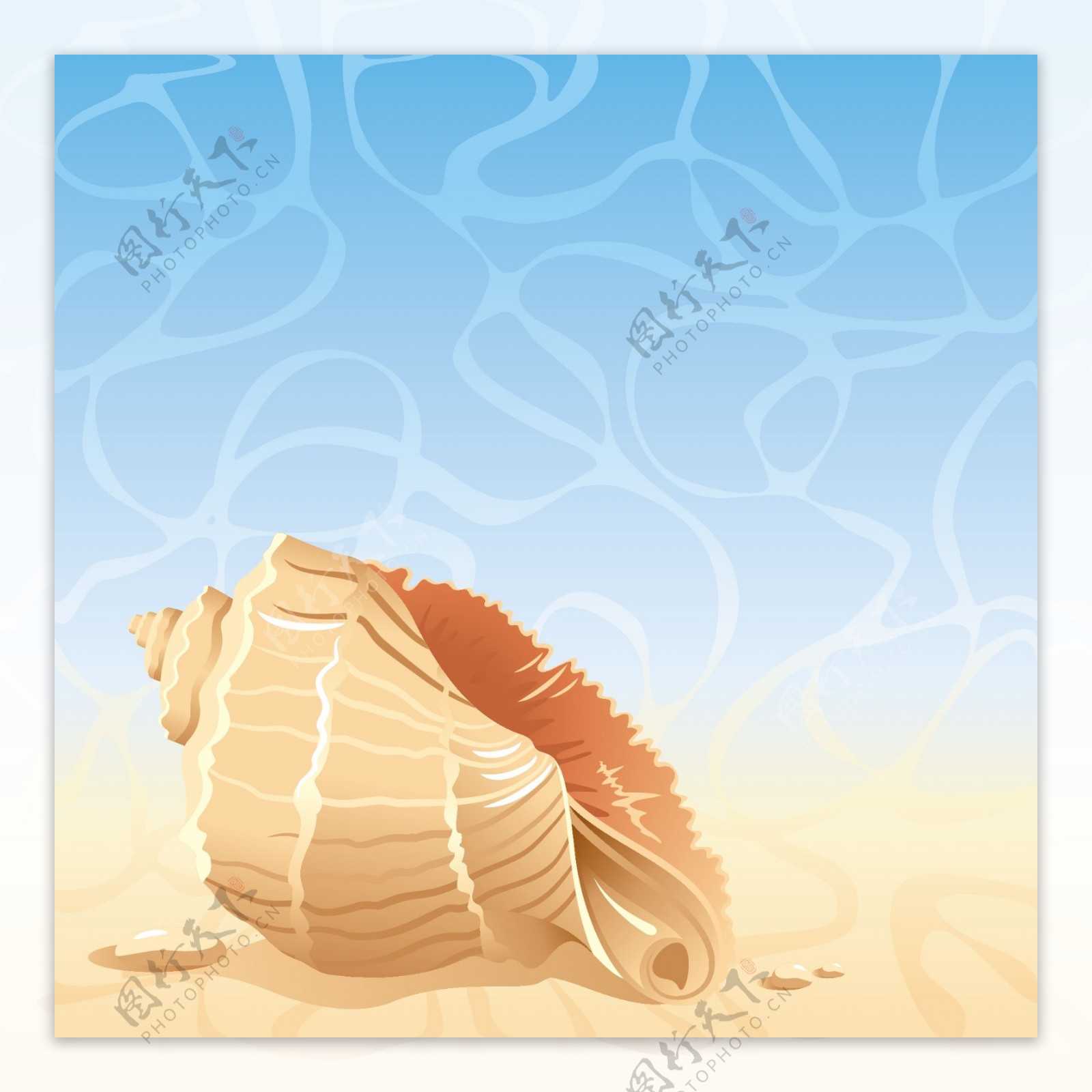 矢量海边海螺图片素材